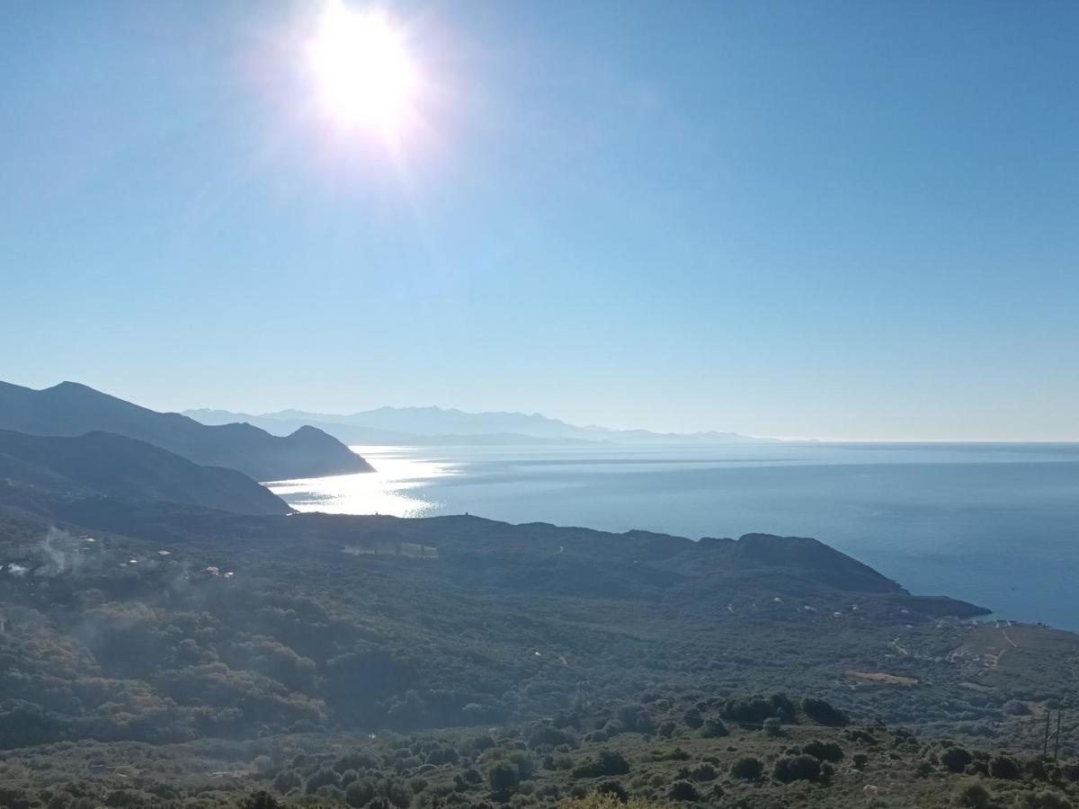 Azureo - Terrasse Du Golfe Villa Morsiglia Eksteriør bilde