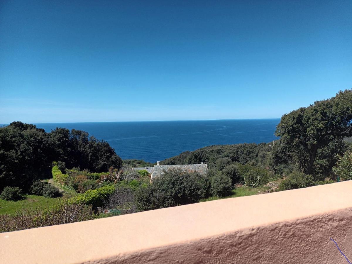 Azureo - Terrasse Du Golfe Villa Morsiglia Eksteriør bilde